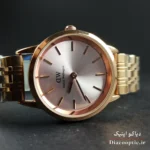 باتری اضافه همراه ساعت DO1101 - اقلام همراه